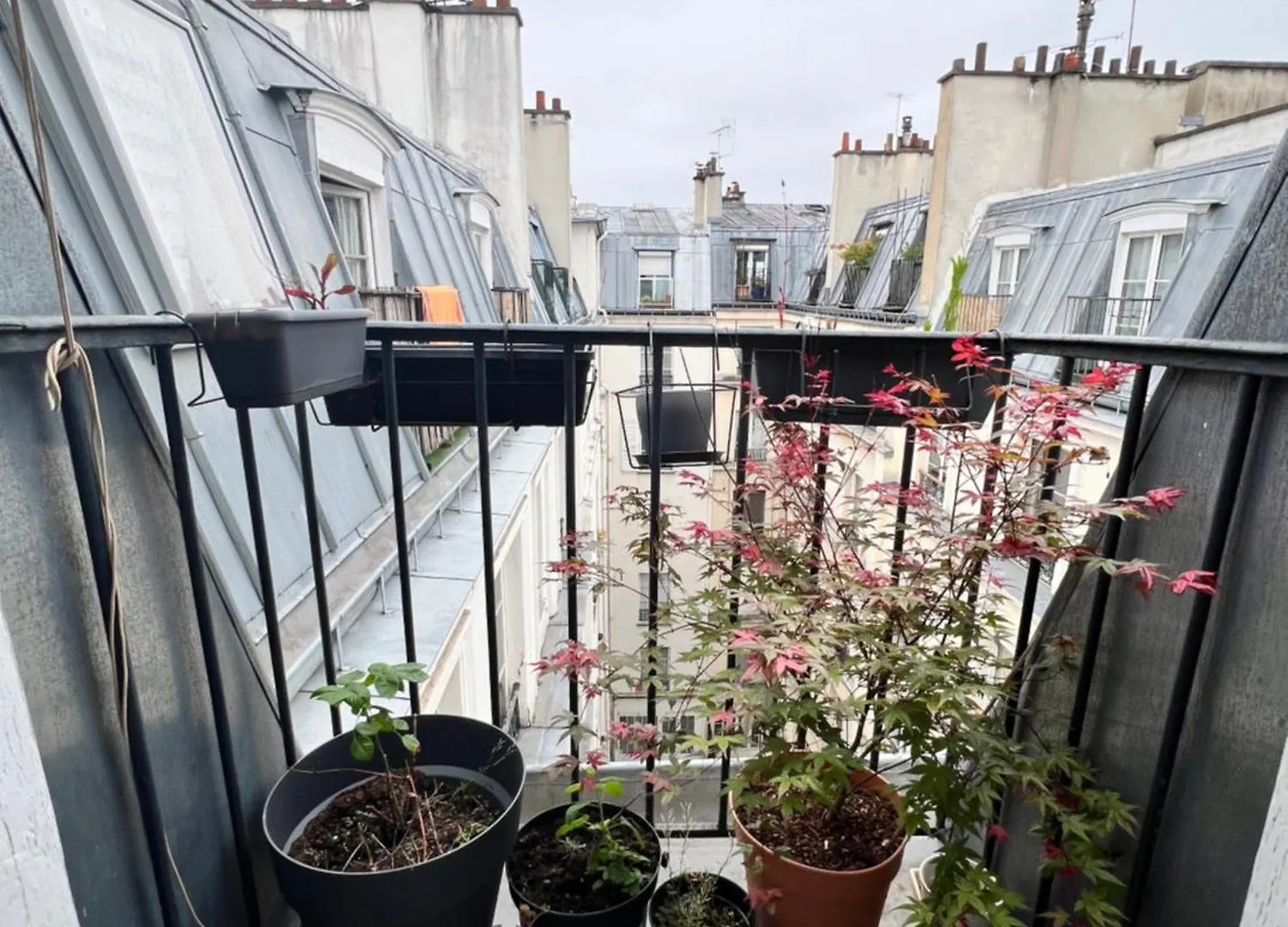 Charmant T2 Parisien Avec Balcon فرنسا